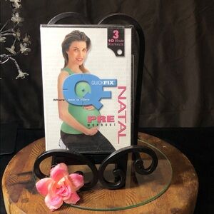 QuickFix Prenatal Workout DVD